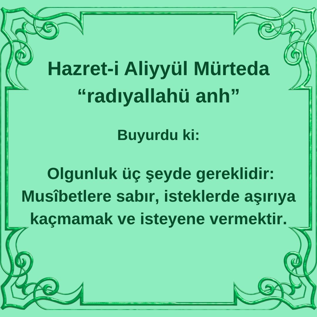 Aliyyül Mürteda (65)